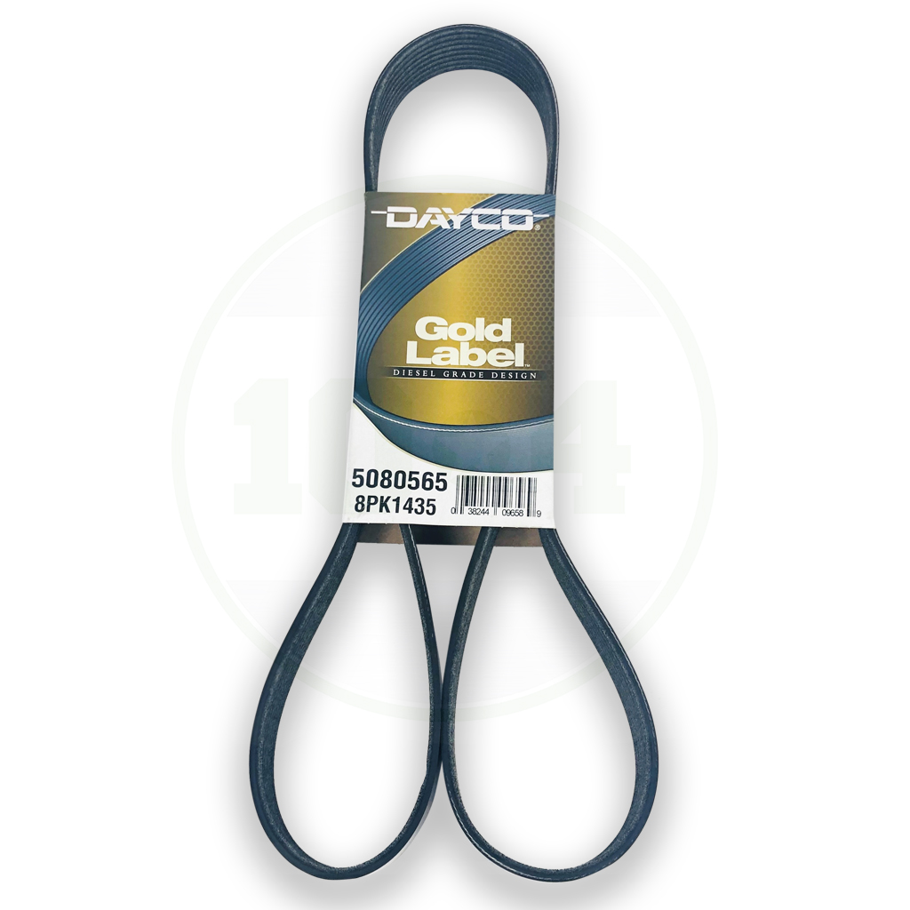5080565 Poly-V Belt